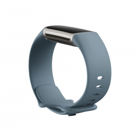 Fitbit Charge 5 Steel Blue/Platinum Stainless Steel | Apcom CE